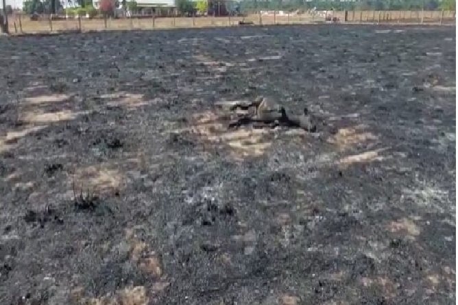 Assista: animais e veículo são atingidos por incêndio em Sinop neste sábado (3)