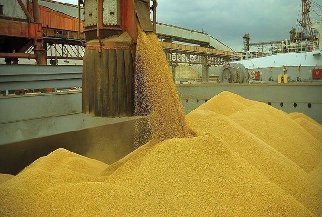 Exportações de milho aumentaram 85,7% no 1º semestre