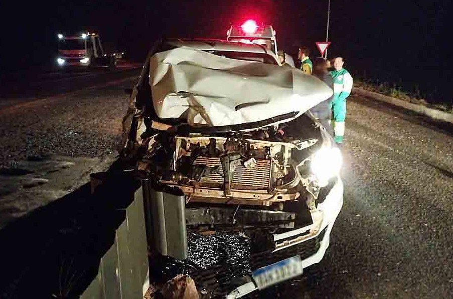 Homem em Colíder acaba com frente de caminhonete Hilux em acidente com vaca solta na MT-320.