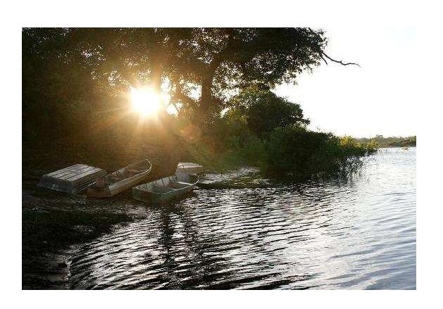 Piracema acontece entre 3 de outubro e 2 de fevereiro em Mato Grosso
