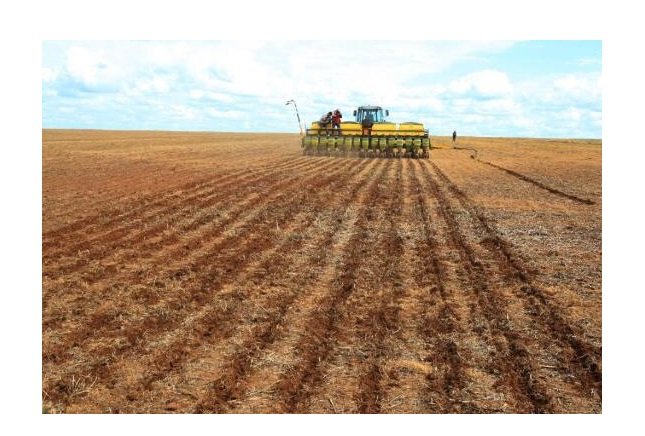 IBGE aponta Mato Grosso na liderança da produção nacional de grãos em 2022