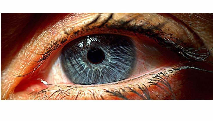Cientistas criaram retina artificial que pode restaurar a visão