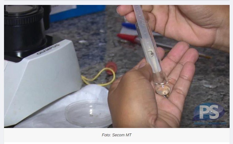 MT confirma a 19ª morte por dengue no ano