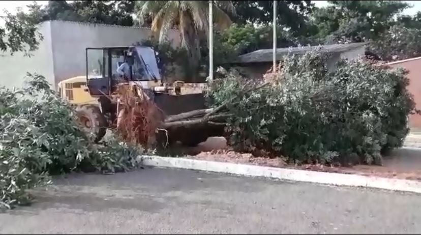 Moradores da Avenida Rui Barbosa estão revoltados com Prefeitura de Colíder.(Vídeo)
