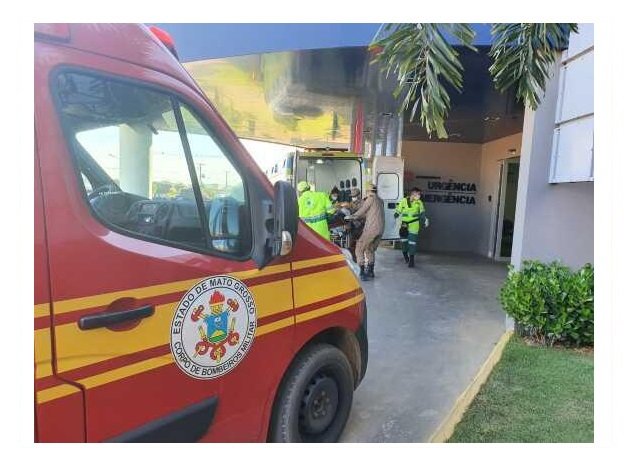 Homem sofre choque anafilático após picada de maribondo em MT