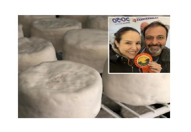 Queijo produzido em Mato Grosso fica em terceiro lugar em competição mundial