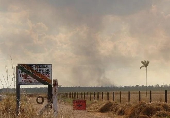 Pecuaristas terão que tirar gado de terra indígena e pagar mais 2 anos de arrendamento