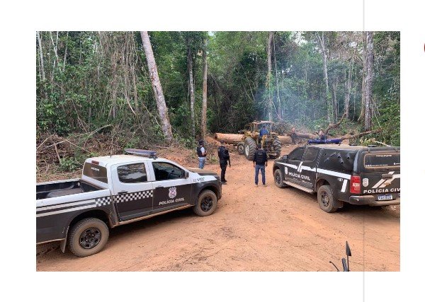 Polícia Civil recupera em área de mata carretas, pá carregadeira e motocicleta roubadas e furtadas