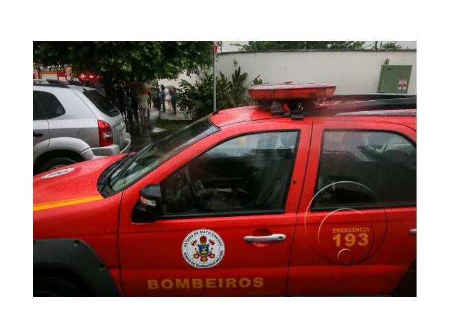 Menino de 1 ano é socorrido depois de sofrer ataque de pitibull