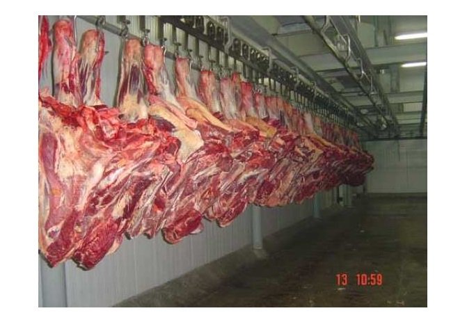 Rússia e outros três países voltam a comprar carne bovina mato-grossense