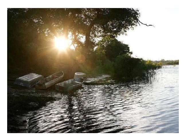 Sema intensifica fiscalização durante o período de defeso da piracema