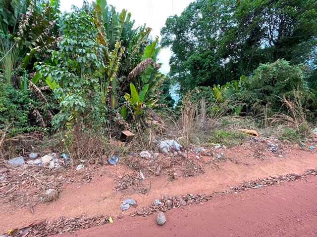 Moradores de Colíder continuam jogando lixo nas margens da rodovia e estradas vicinais e até mesmo no 7 Covas.