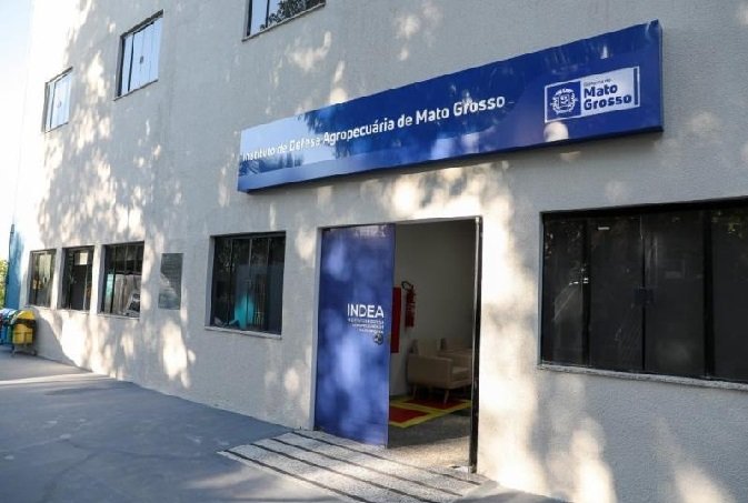 Registro da marca de fogo no Indea garante segurança e rastreabilidade