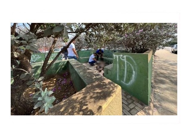 Morador de rua é encontrado morto em pista de skate em MT