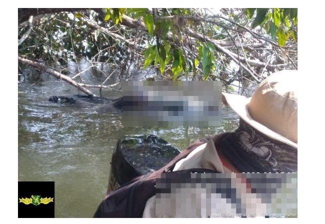 Bombeiros localizam no rio o corpo de senhor que estava desaparecido em cidade de MT