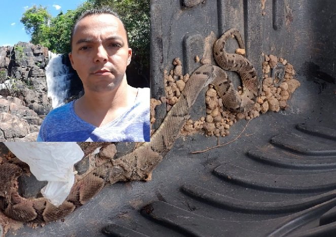 Padre Everaldo é picado por cobra jararaca e está internado em MT