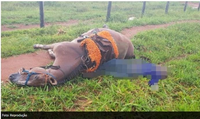 Homem e cavalo morrem ao serem atingidos por raio