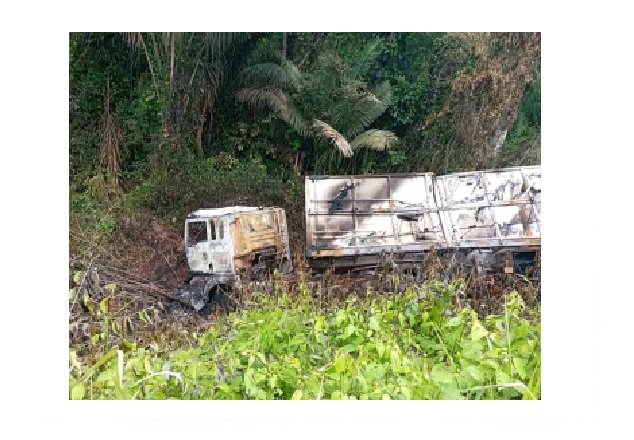 Carreta pega fogo após pneu estourar na MT-208