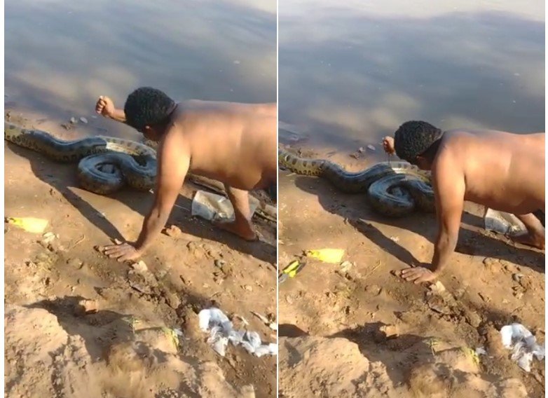 Vídeo mostra homem esfaqueando sucuri na beira do Rio Cuiabá