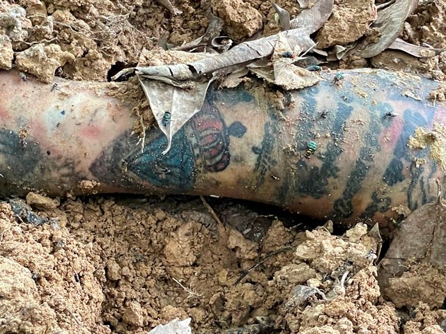 Colíder: Corpo e encontrado enterrado em cova rasa as margens do Rio Carapa.