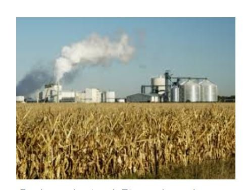 Mato Grosso investe pesado na produção de etanol de milho
