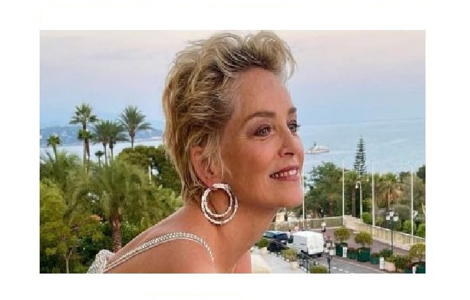 Saiba o que é leiomioma, doença descoberta por Sharon Stone