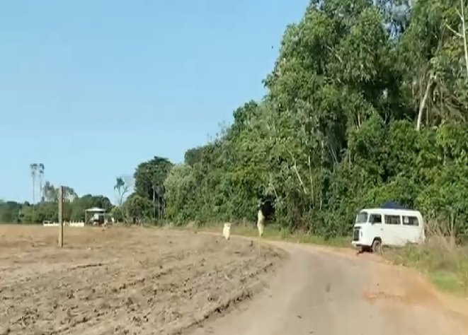Fazenda com soja plantada é invadida em Sinop