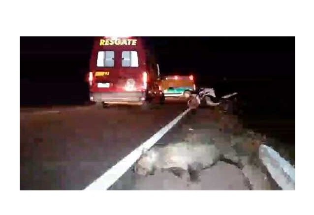 Casal fica gravemente ferido depois de atropelar capivara na BR-163