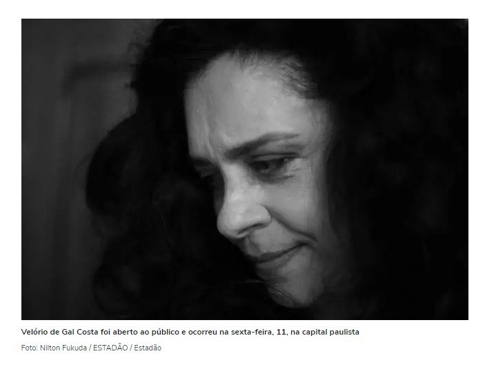 Homenagem da Turma da Mônica à Gal Costa vira polêmica nas redes sociais
