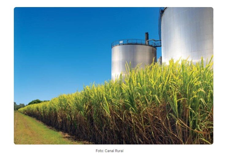 Biocombustíveis e alimentos influenciam produção industrial em Mato Grosso