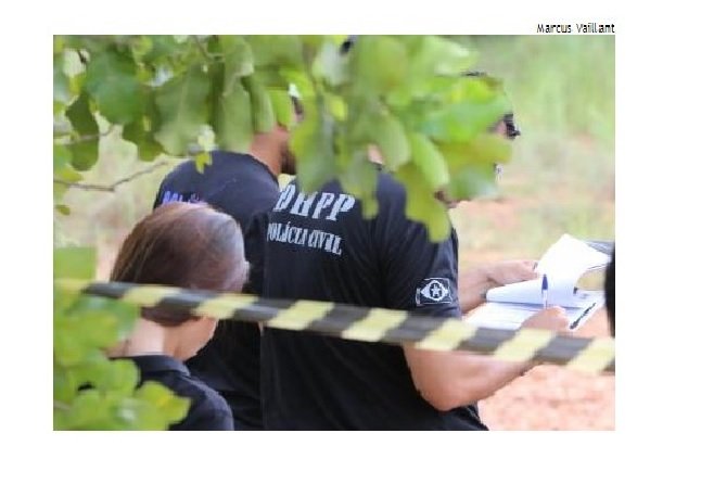 Popular encontra ossada humana em matagal próximo da BR-163, em Sinop