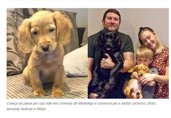 Criança se passa por sua mãe em conversa de WhatsApp e convence pai a adotar cachorr