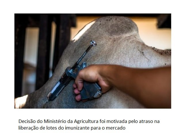 Vacinação contra febre aftosa em MT é prorrogada e prazo se encerra em 17 de dezembro
