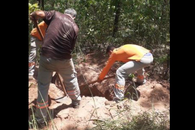 Ossada é encontrada com pés e mãos amarrados em mata