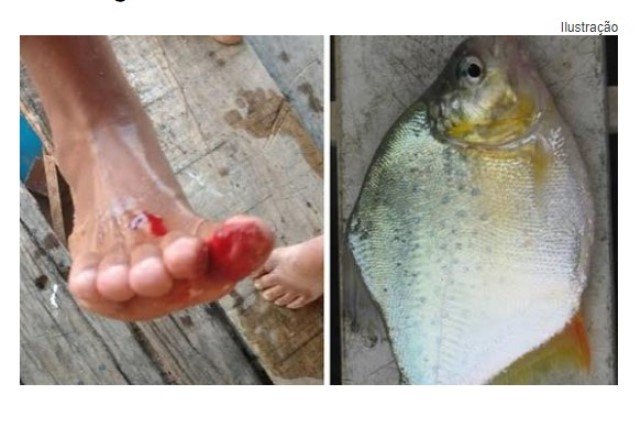 Piranhas atacam pai e filho na Praia do Daveron em Cáceres