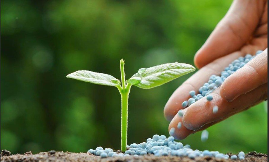 Rússia define taxar em 23,5% embarques de fertilizantes minerais a partir de 2023