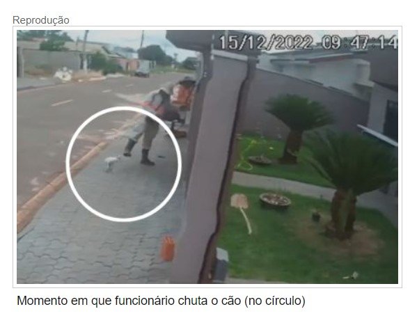 Vídeo mostra funcionário da Energisa chutando cachorro em MT