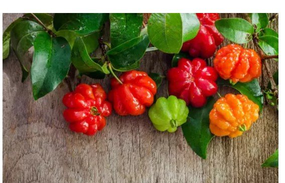 Gosta de pitanga? Sabia que o consumo dessa fruta traz inúmeras vantagens?