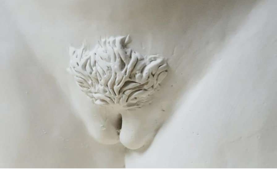 Você sabe a importância dos pelos pubianos para o corpo humano?