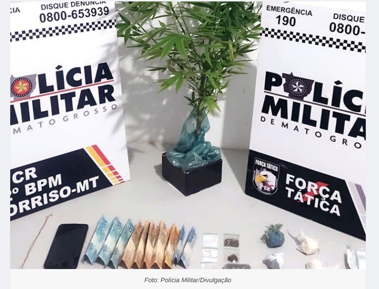 Dupla com extensa ficha criminal é detida com pé de maconha e porções de drogas