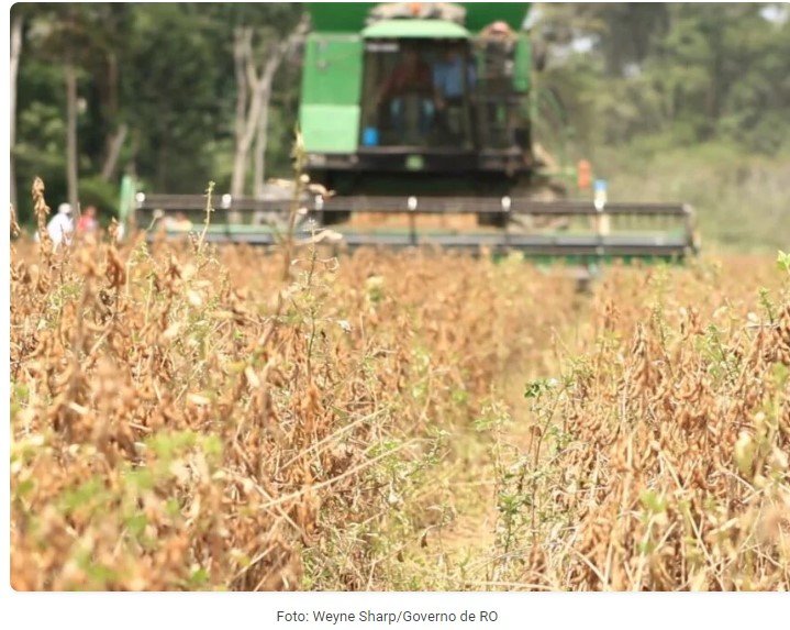 Agronegócio deve ter maior crescimento em 5 anos