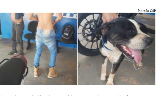 Dupla é presa por espancar cachorro no interior; animal foi vítima de zoofilia