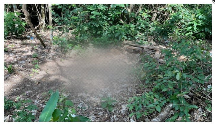 Corpo parcialmente enterrado é encontrado em Nova Canaã do Norte