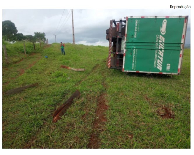 Inseto faz motorista perder controle e capotar caminhão