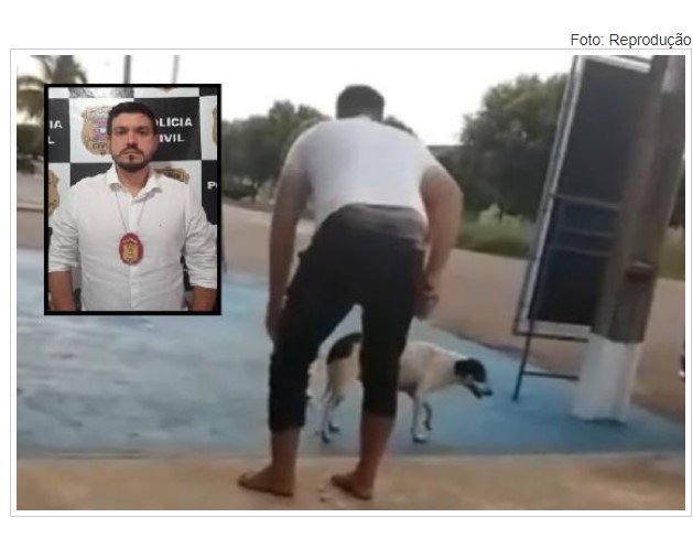 Delegado: Vereador que colocou bomba em cachorro será investigado por crime de maus-tratos