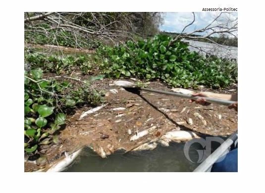 Sema multa hidrelétrica em R$ 50 milhões pela morte de peixes