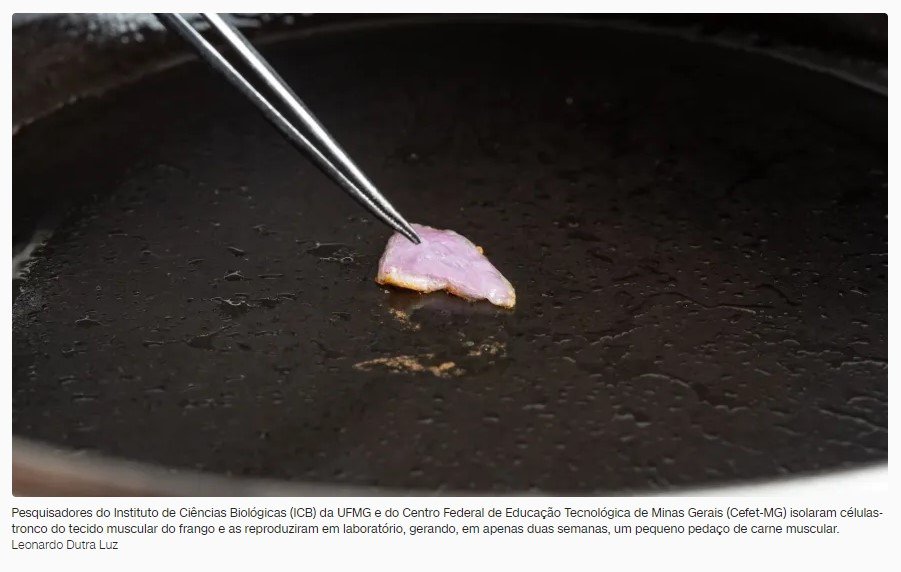 Cientistas da UFMG desenvolvem carne de frango em laboratório