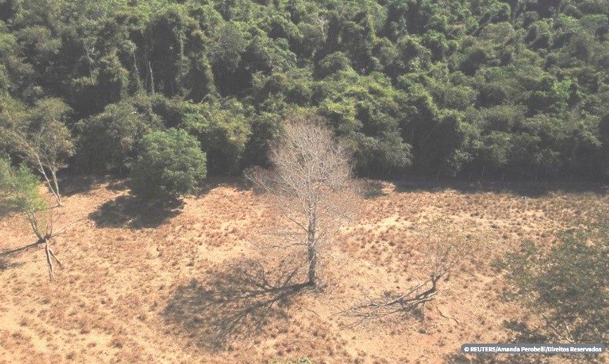 Amazônia e Cerrado batem recorde de alertas de desmatamento