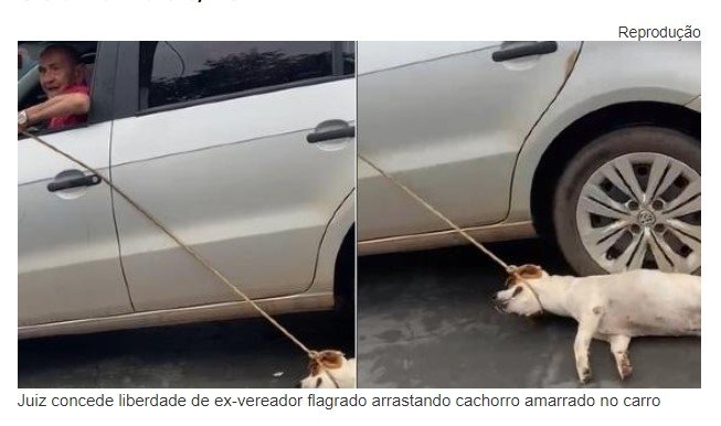 Juiz concede liberdade a ex-vereador flagrado arrastando cachorro amarrado no carro