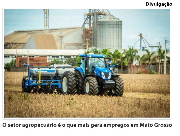 Agropecuária é o setor que mais criou empregos formais no começo de ano